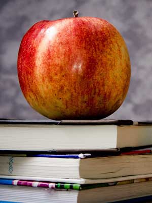 网站攻击工具手机版